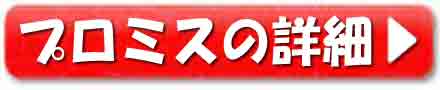 プロミスの詳細